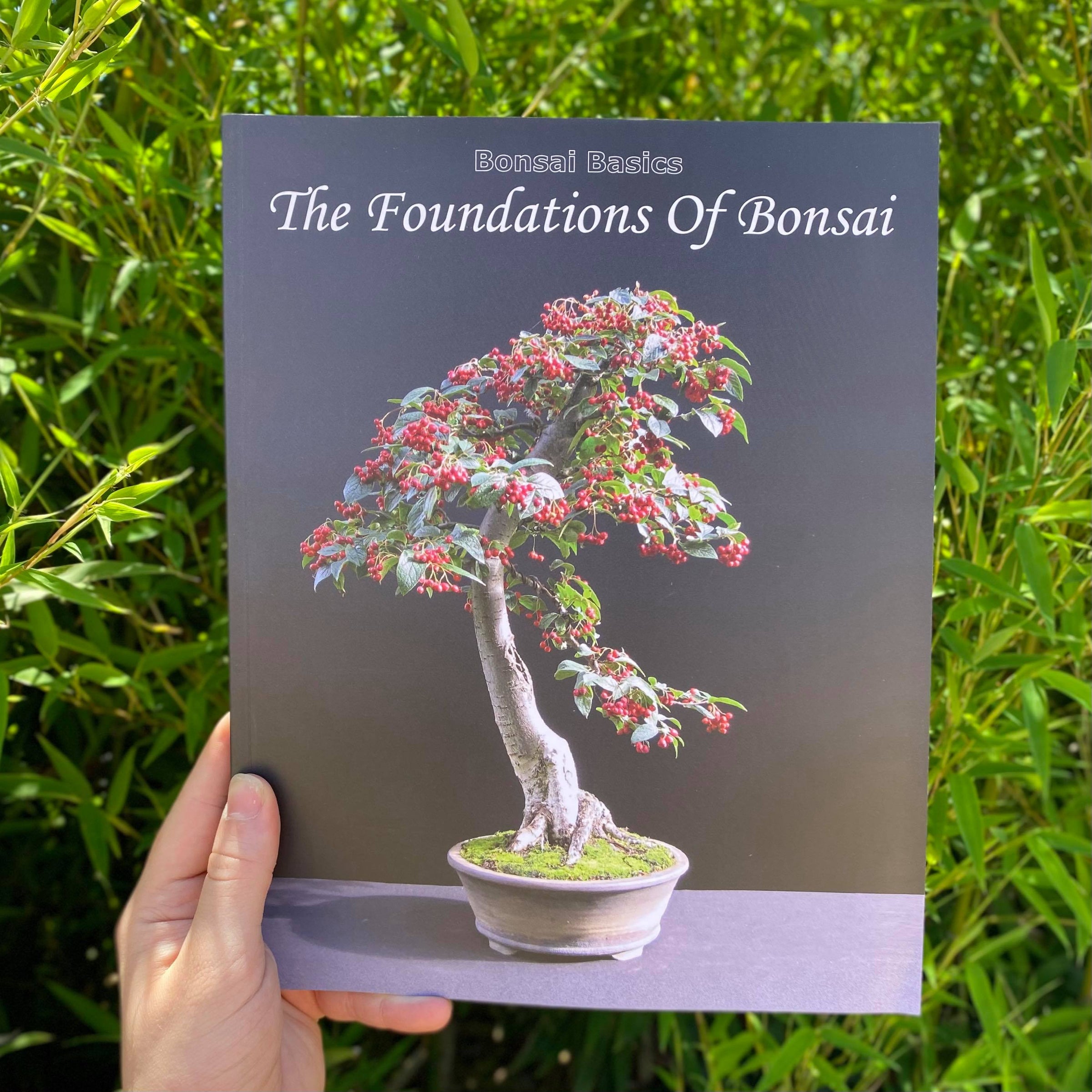 The Foundations Of Bonsai By Harry Harrington | Underhill Bonsai, LLC