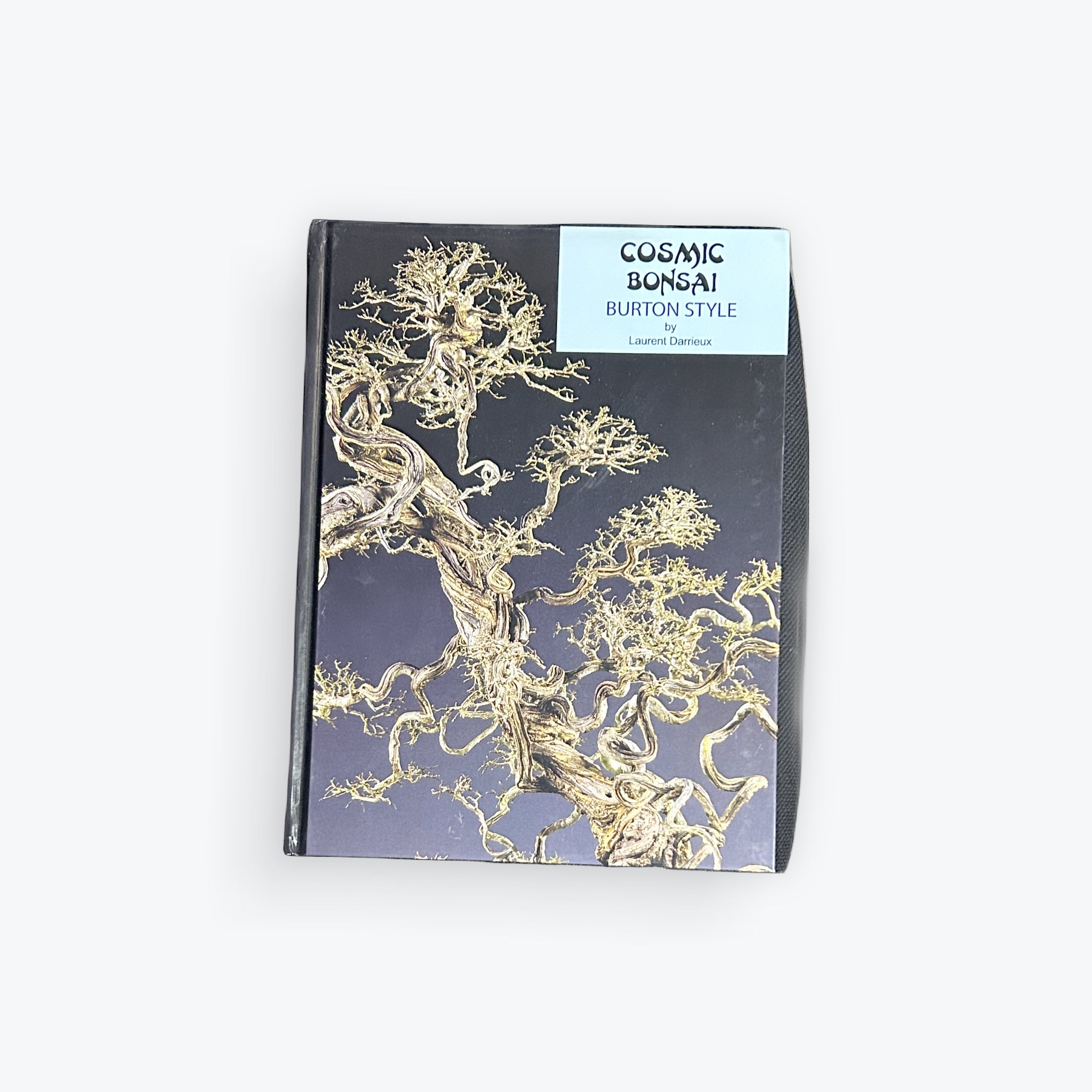 Cosmic Bonsai (Burton style) by Laurent Darrieux | Underhill Bonsai, LLC